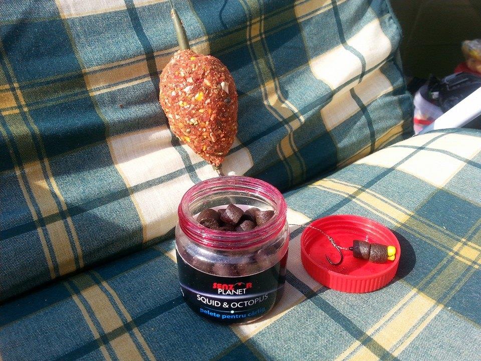 Moara Vlasiei 2 28 - 29 mar. - 15305501490489664505937520091538n.jpg